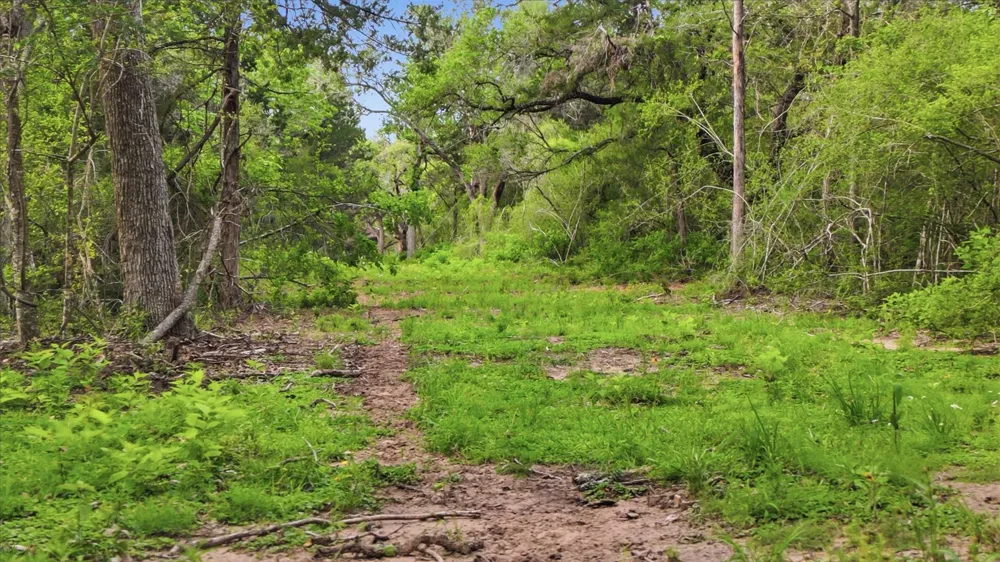 1165 Cr 213 Weimar, TX 78962