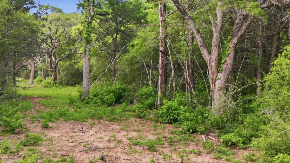 1165 Cr 213 Weimar, TX 78962