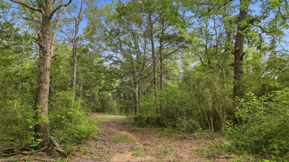 1165 Cr 213 Weimar, TX 78962