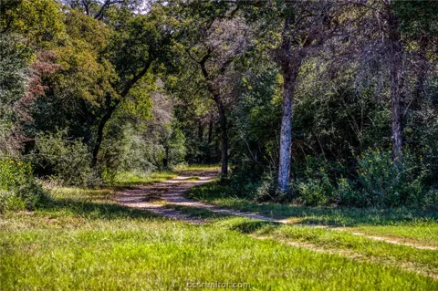 3336 County Road 326