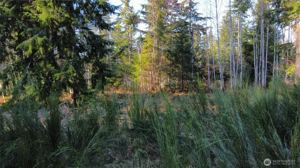 579 Thomas Street Forks, WA 98331