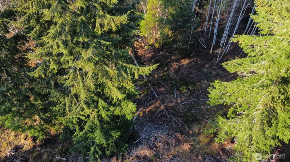 579 Thomas Street Forks, WA 98331
