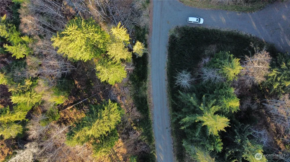 579 Thomas Street Forks, WA 98331