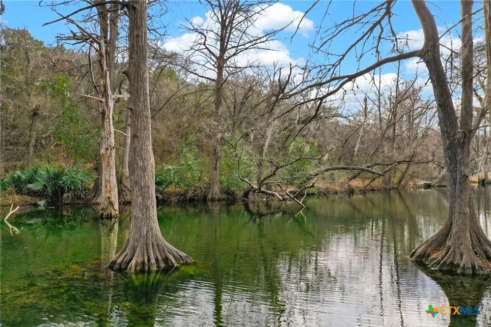 135 Agarita Drive Spring Branch, TX 78070
