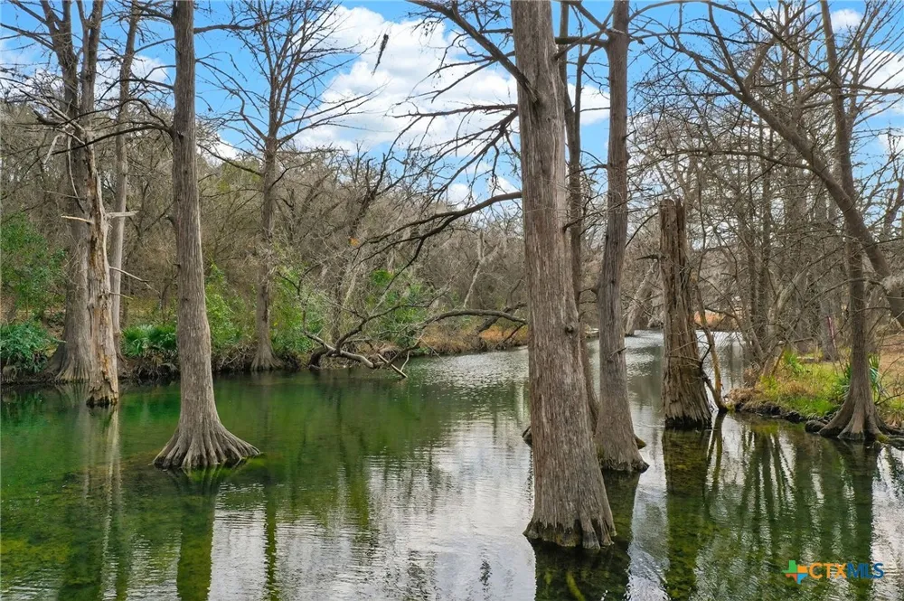 135 Agarita Drive Spring Branch, TX 78070