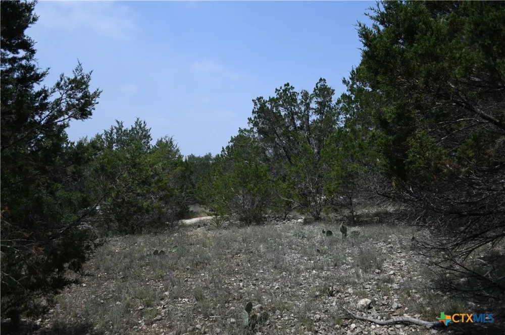 135 Agarita Drive Spring Branch, TX 78070
