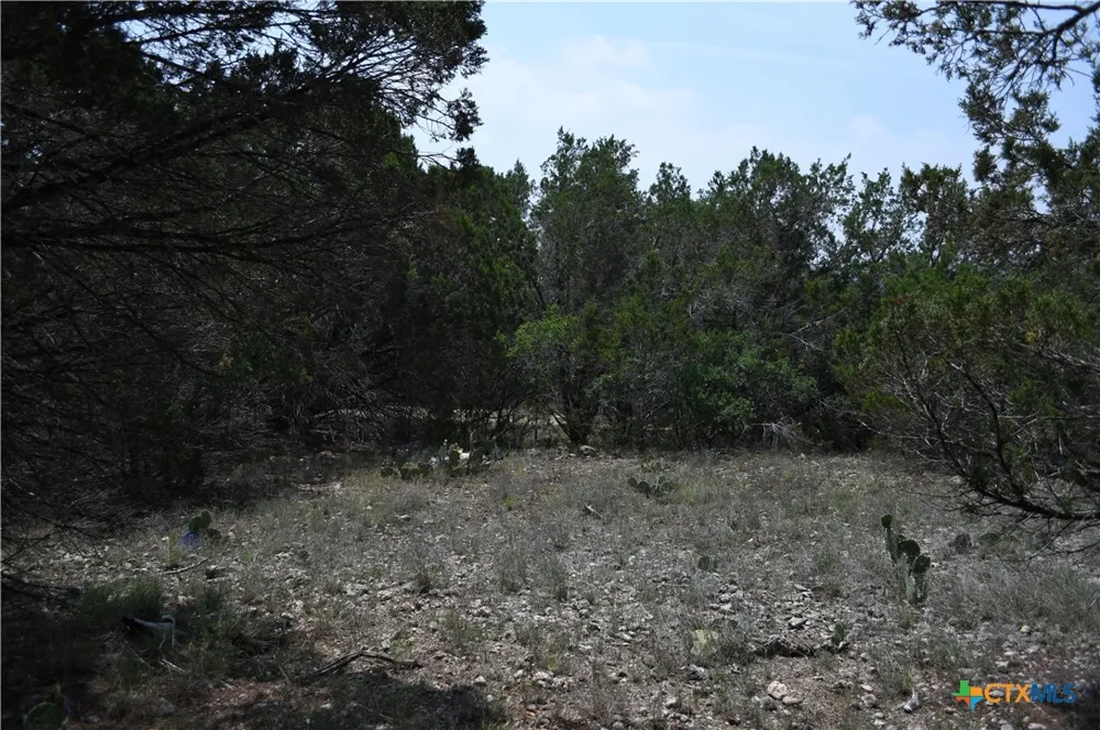 135 Agarita Drive Spring Branch, TX 78070