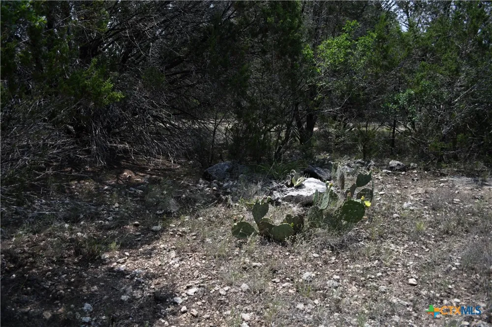 135 Agarita Drive Spring Branch, TX 78070