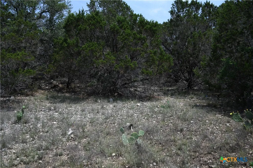 135 Agarita Drive Spring Branch, TX 78070