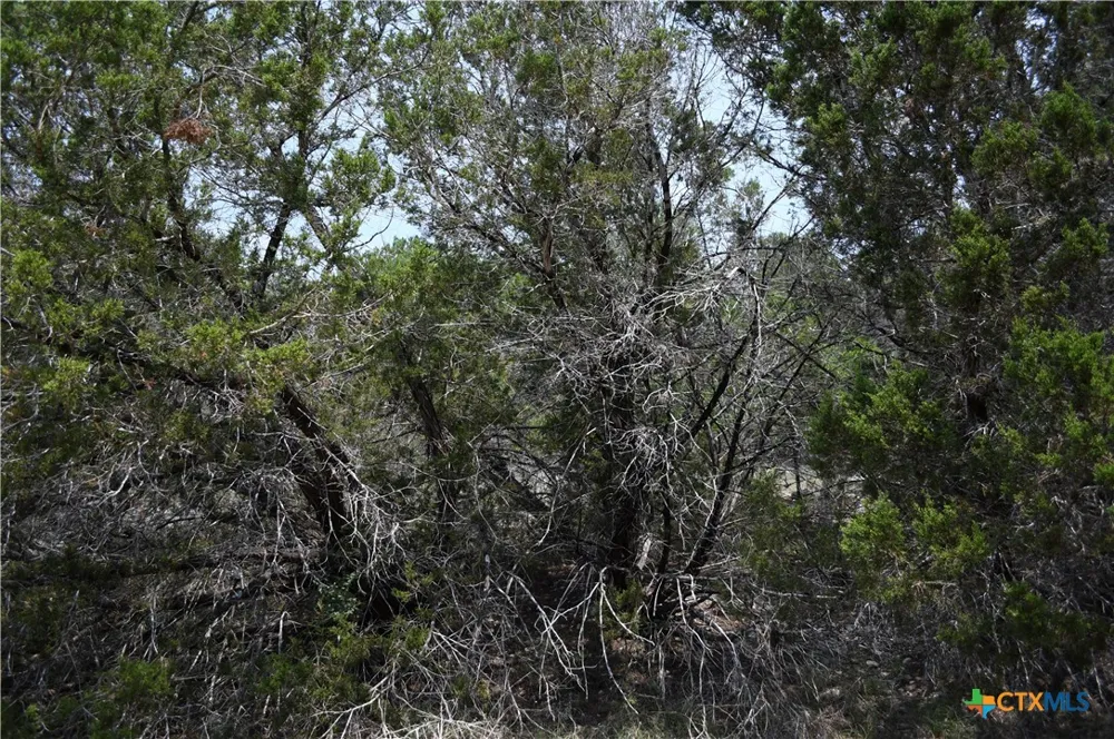 135 Agarita Drive Spring Branch, TX 78070