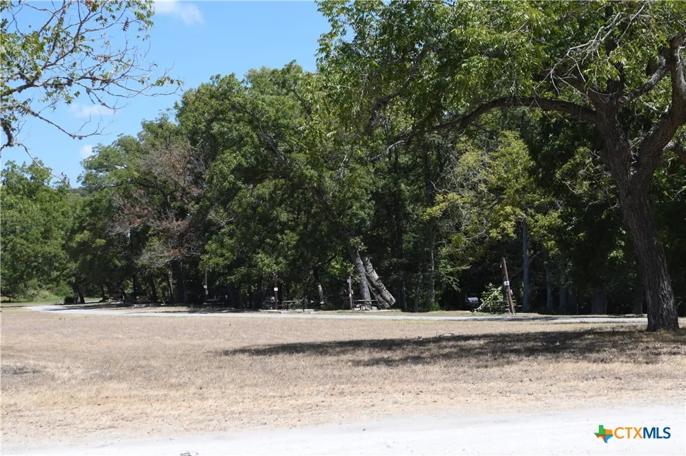 135 Agarita Drive Spring Branch, TX 78070