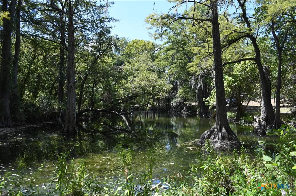 135 Agarita Drive Spring Branch, TX 78070