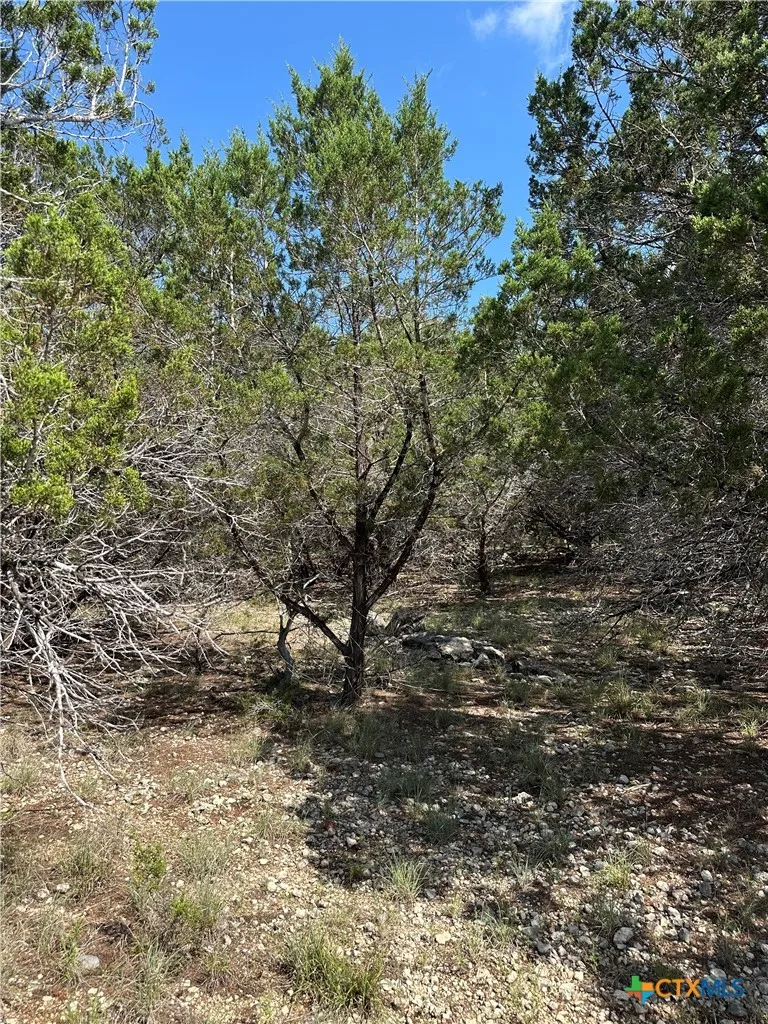 121 Agarita Drive Spring Branch, TX 78070