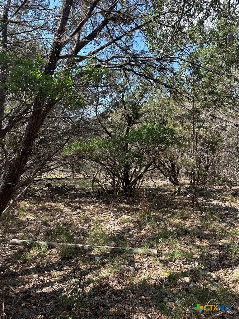 121 Agarita Drive Spring Branch, TX 78070