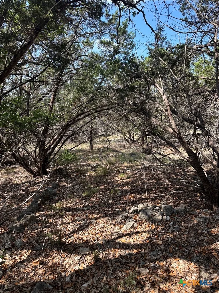 121 Agarita Drive Spring Branch, TX 78070
