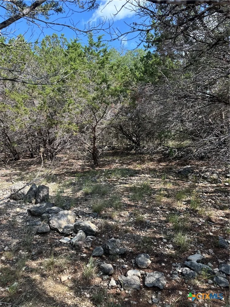 121 Agarita Drive Spring Branch, TX 78070