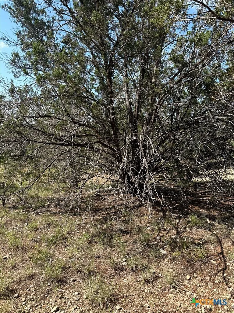 121 Agarita Drive Spring Branch, TX 78070