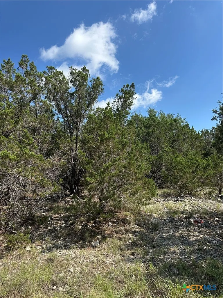 121 Agarita Drive Spring Branch, TX 78070