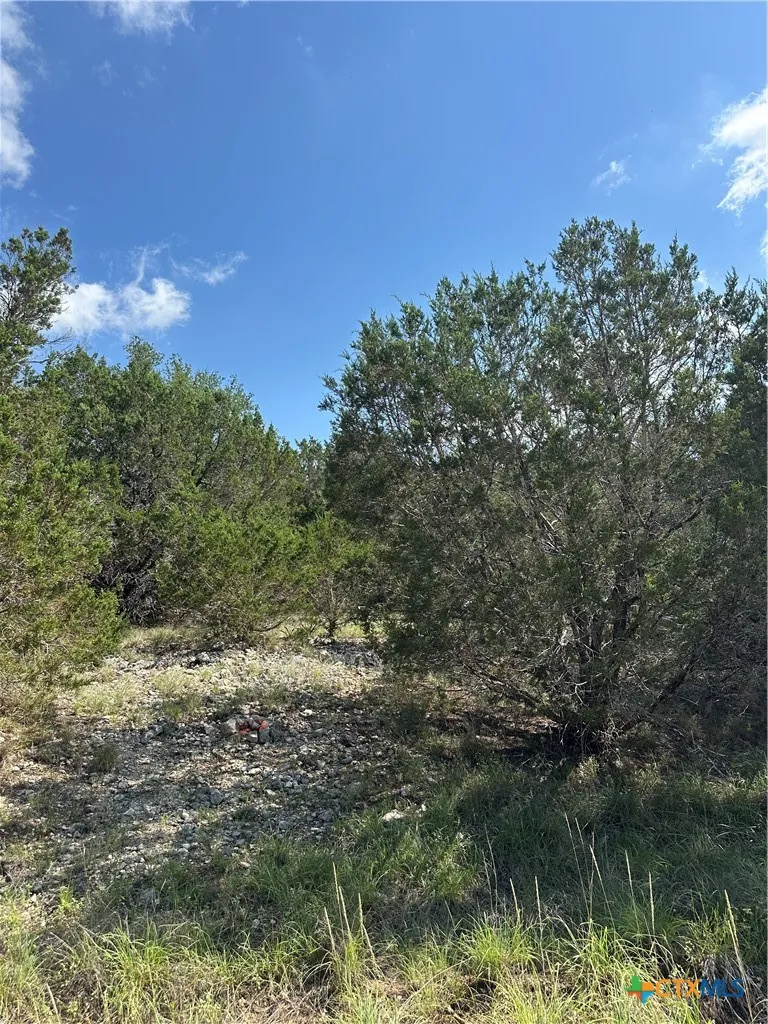 121 Agarita Drive Spring Branch, TX 78070