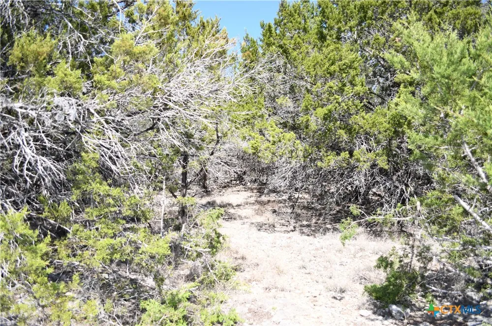 121 Agarita Drive Spring Branch, TX 78070