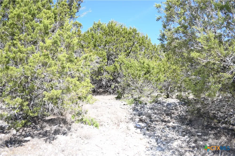 121 Agarita Drive Spring Branch, TX 78070