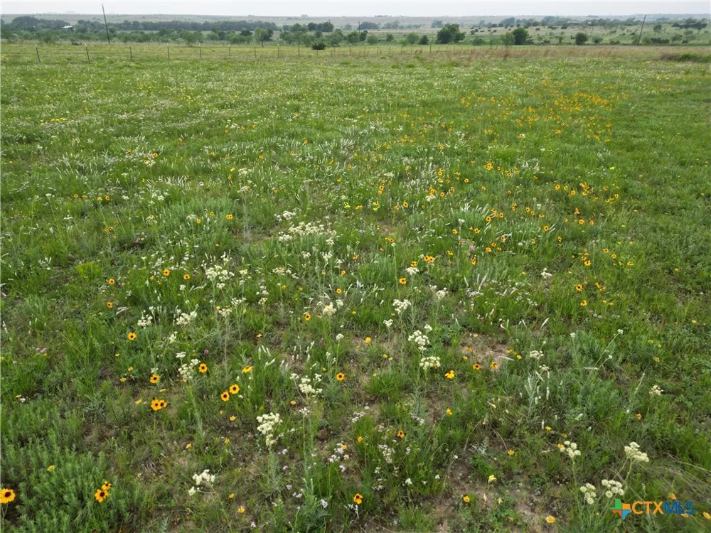 2332 County Road 2109 Lometa, TX 76853