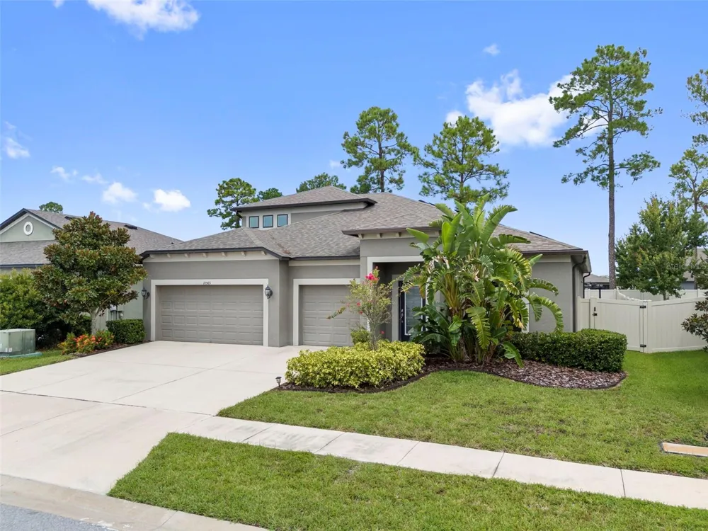 18565 OBREGAN DRIVE Spring Hill, FL 34610