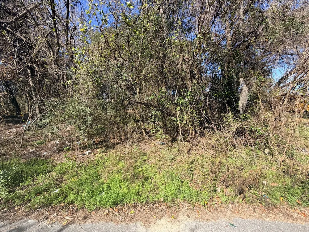TBD NW 151ST AVENUE Alachua, FL 32615
