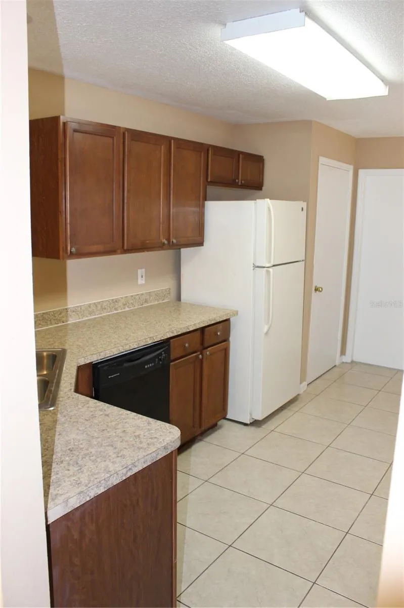 11111 BRAMBLEBRUSH STREET Tampa, FL 33624