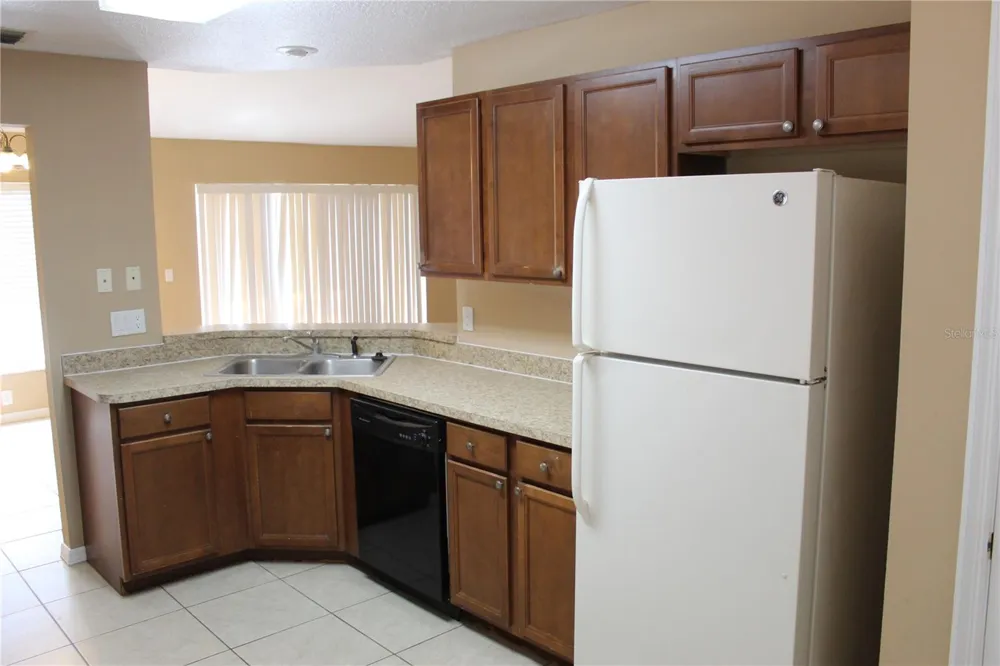 11111 BRAMBLEBRUSH STREET Tampa, FL 33624