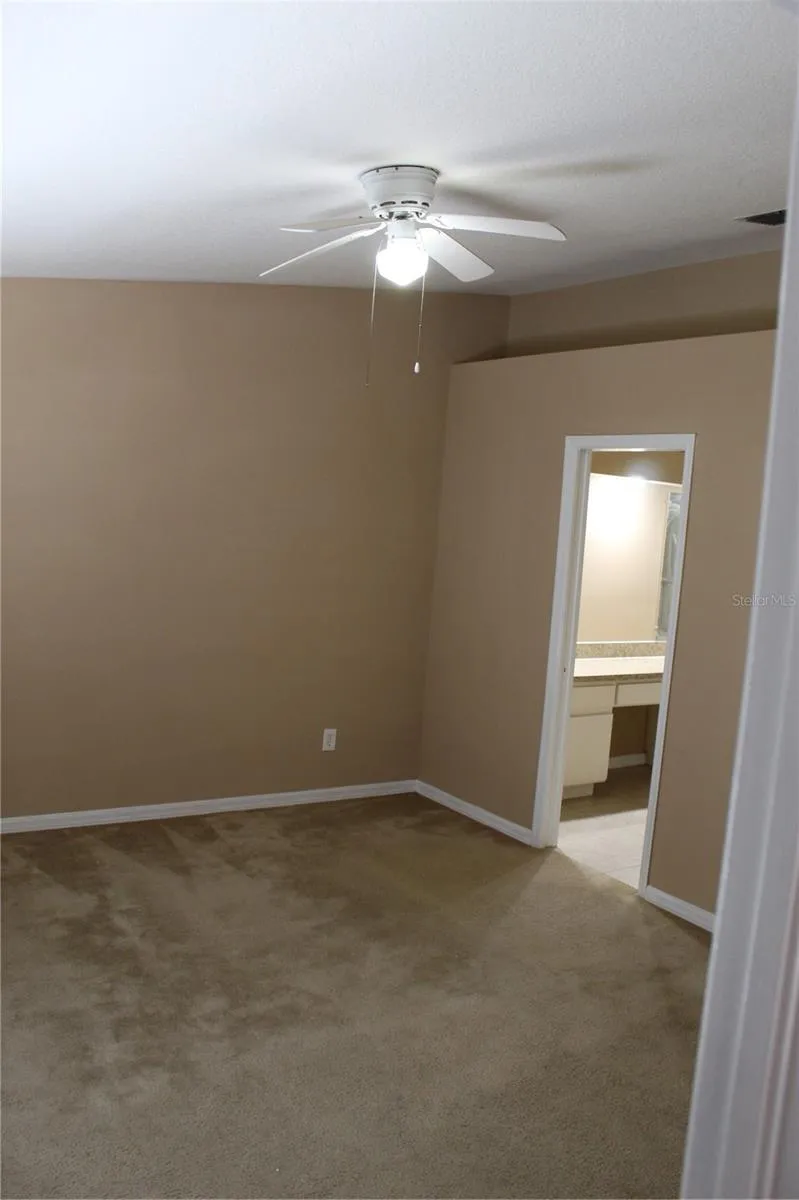 11111 BRAMBLEBRUSH STREET Tampa, FL 33624