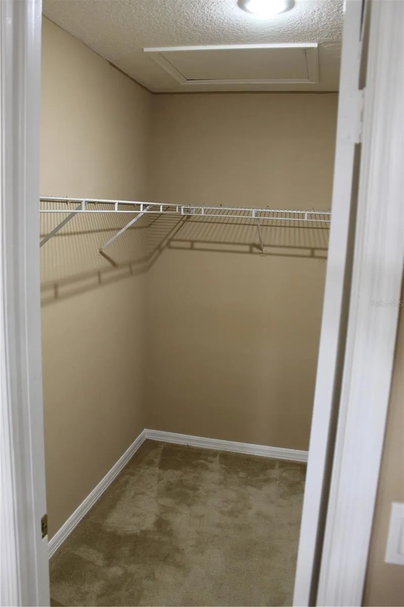 11111 BRAMBLEBRUSH STREET Tampa, FL 33624