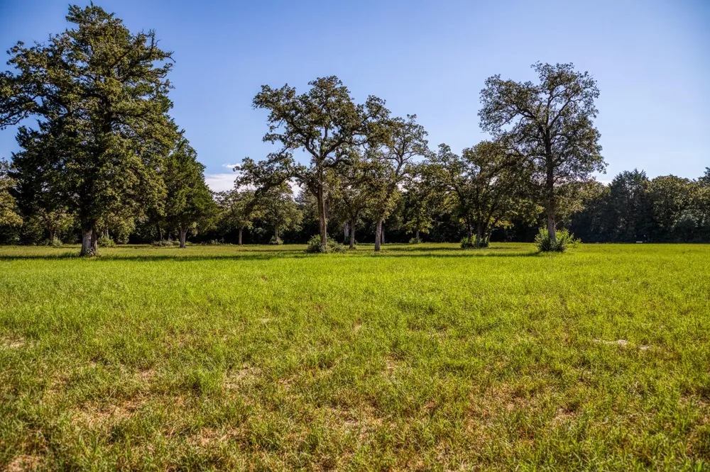3336 County Road 326 Lexington, TX 78947