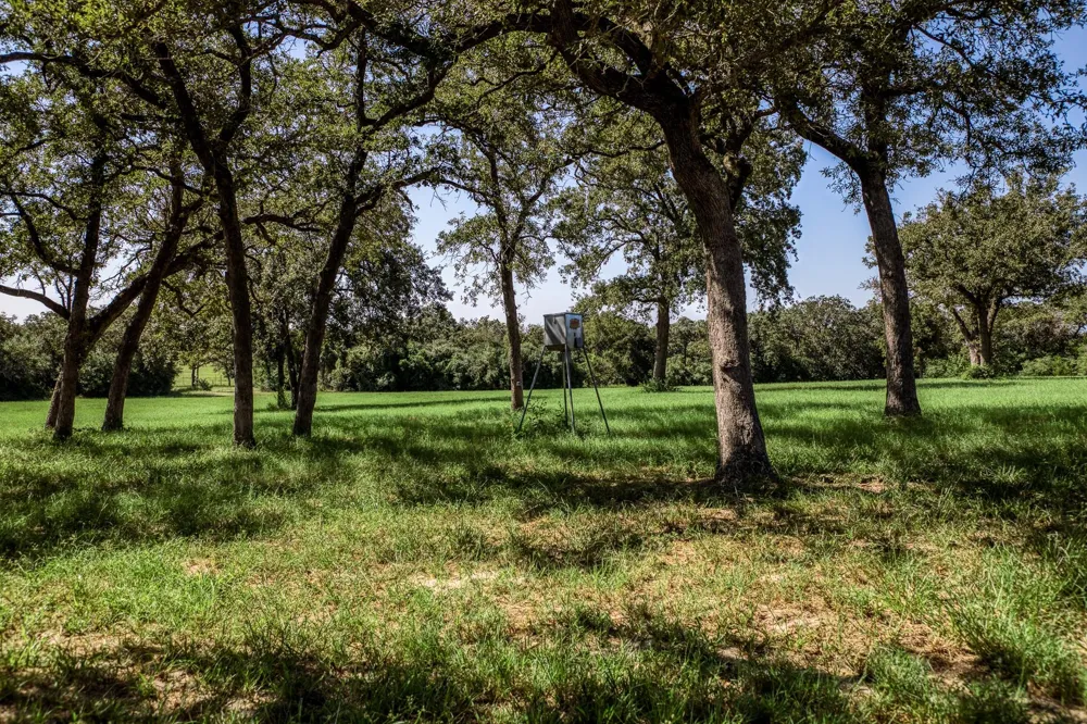 3336 County Road 326 Lexington, TX 78947