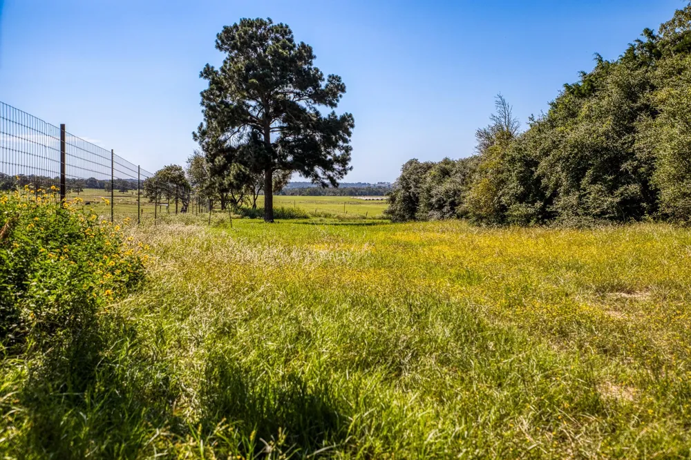 3336 County Road 326 Lexington, TX 78947