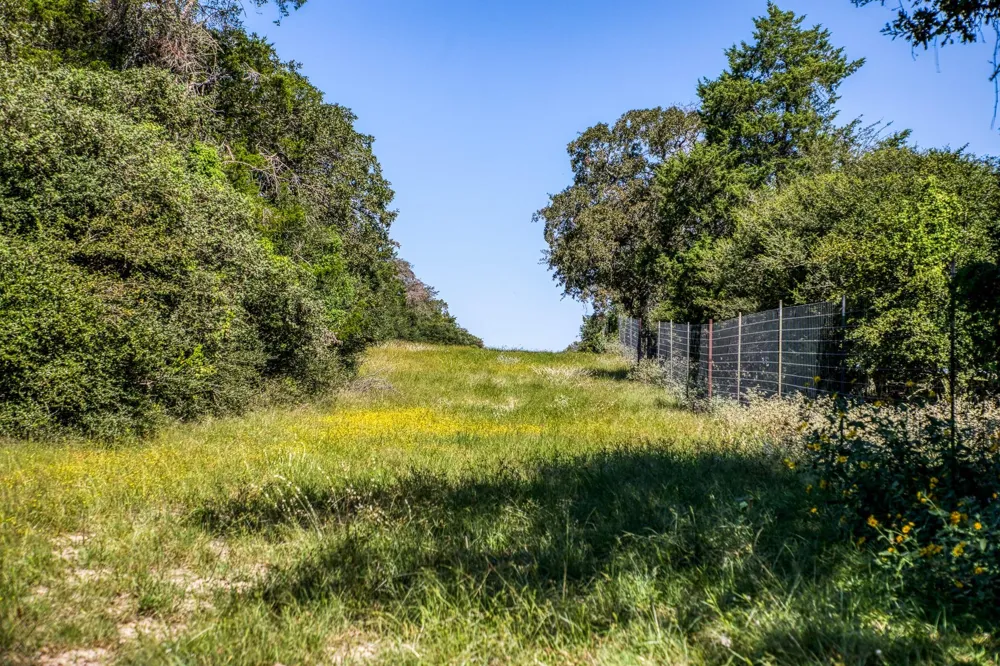 3336 County Road 326 Lexington, TX 78947