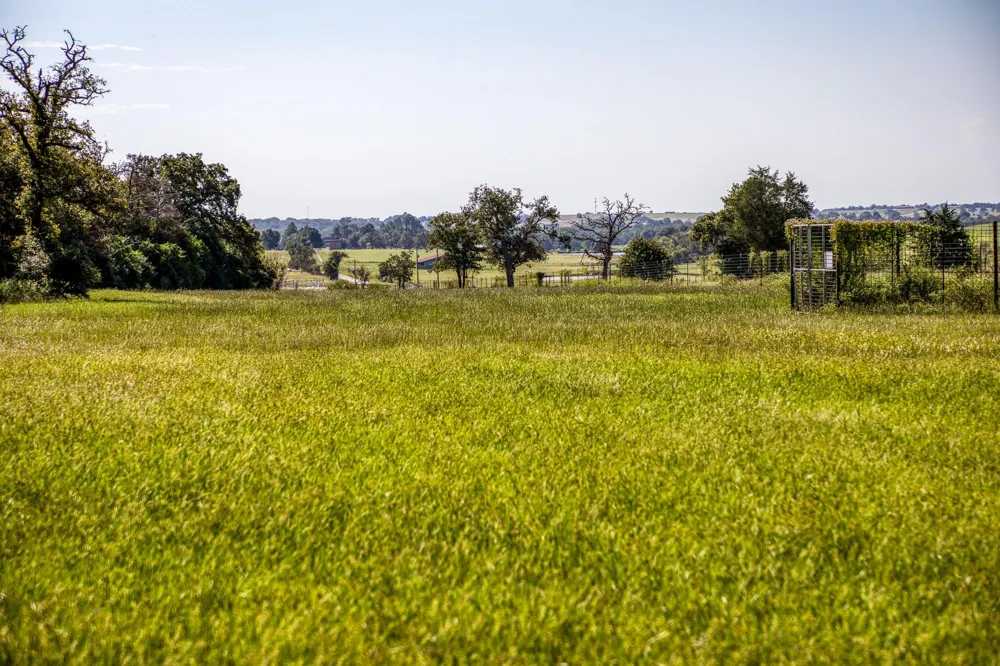 3336 County Road 326 Lexington, TX 78947