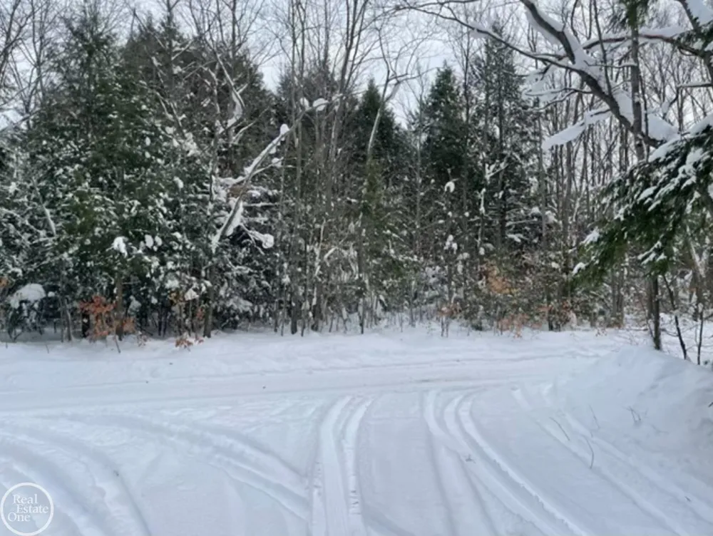 Kenyon Trail Otsego Lake Township, MI 49733