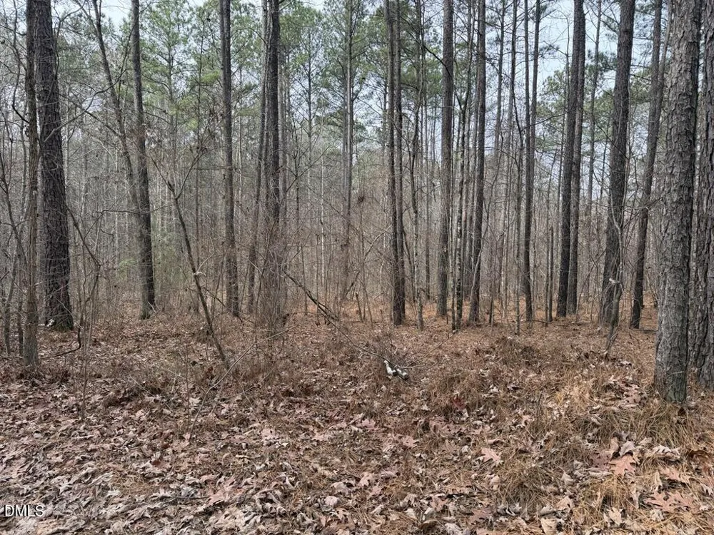 0 Murphy Road Youngsville, NC 27596