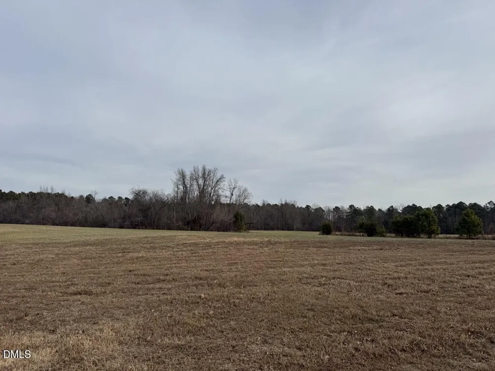0 Murphy Road Youngsville, NC 27596