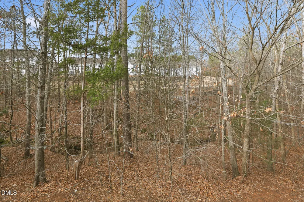 2245 Mayo Forest Lane Morrisville, NC 27560