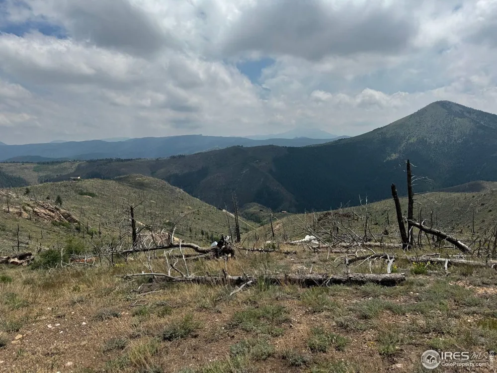 280 Rim Road Boulder, CO 80302