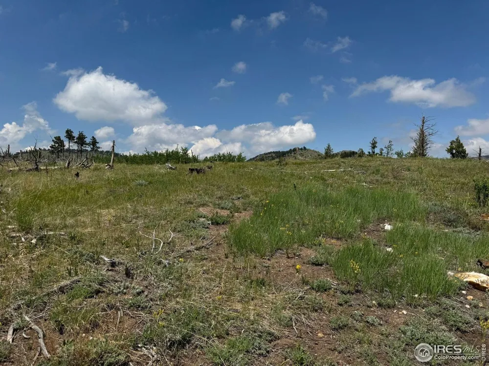 280 Rim Road Boulder, CO 80302