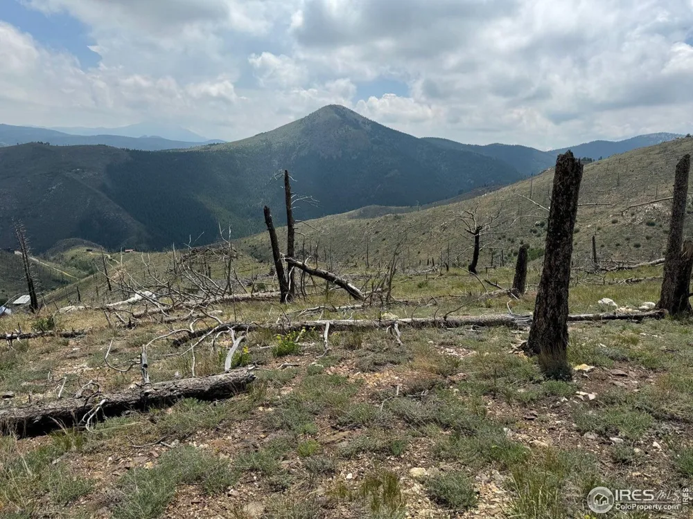 280 Rim Road Boulder, CO 80302