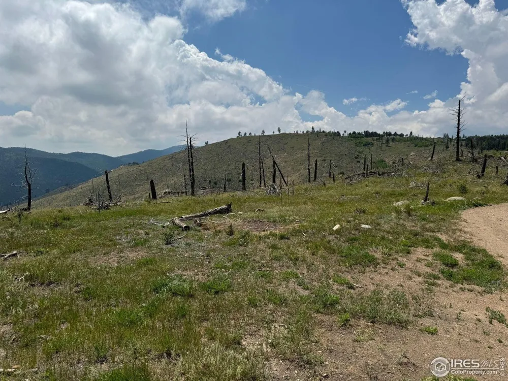 280 Rim Road Boulder, CO 80302