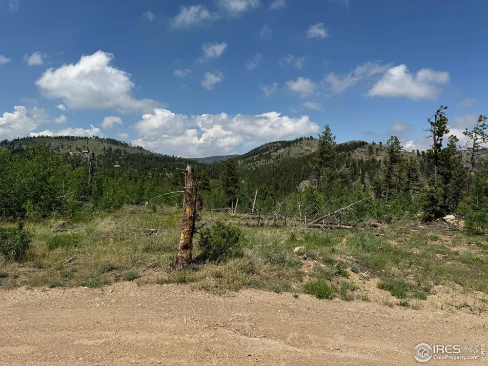 280 Rim Road Boulder, CO 80302