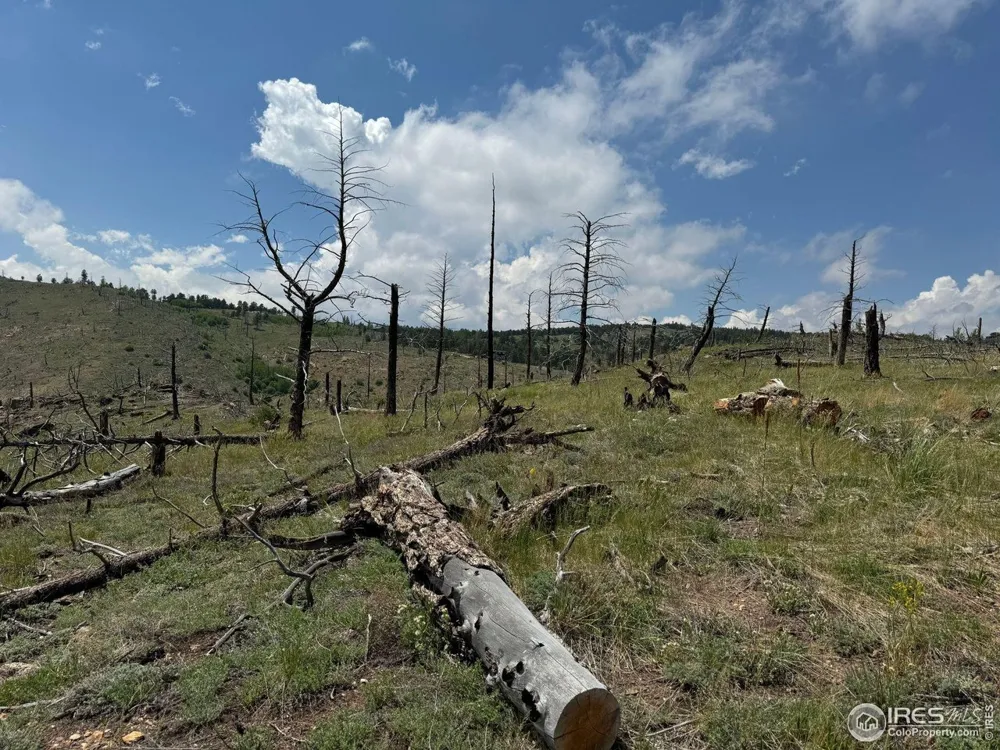 280 Rim Road Boulder, CO 80302