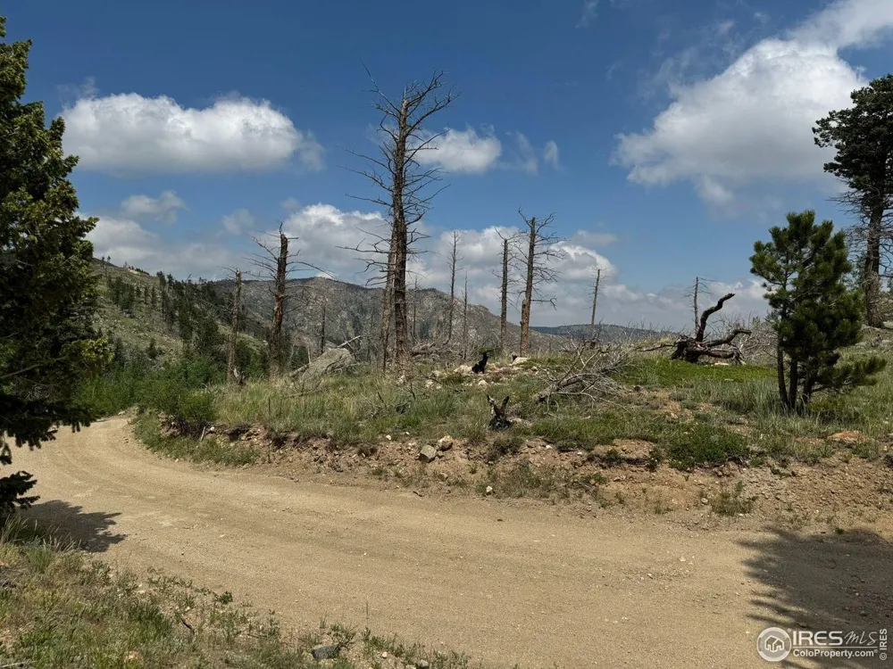 280 Rim Road Boulder, CO 80302