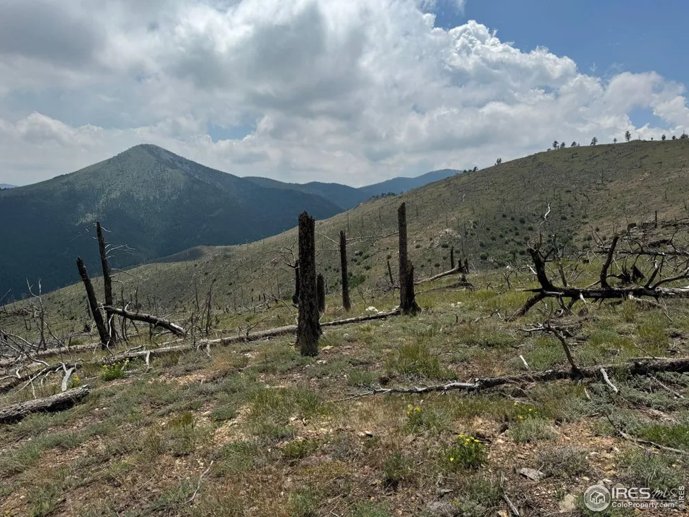 280 Rim Road Boulder, CO 80302