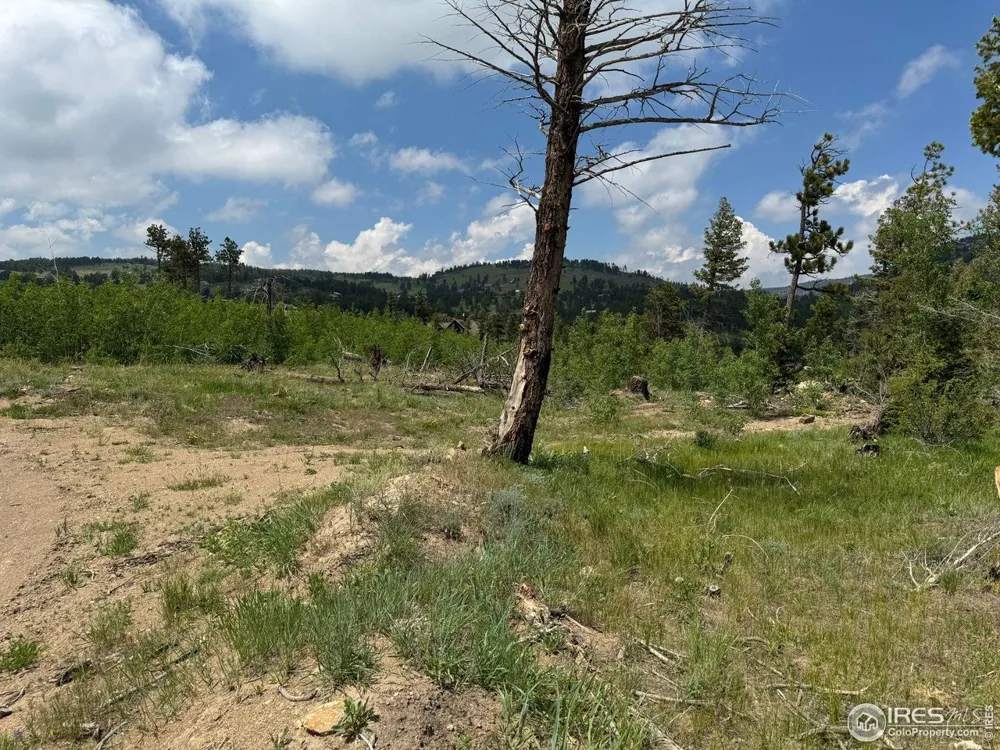 280 Rim Road Boulder, CO 80302